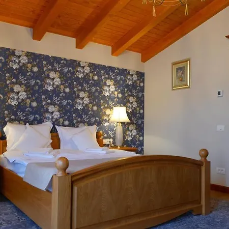 Villa Diva Budureasa Exterior photo