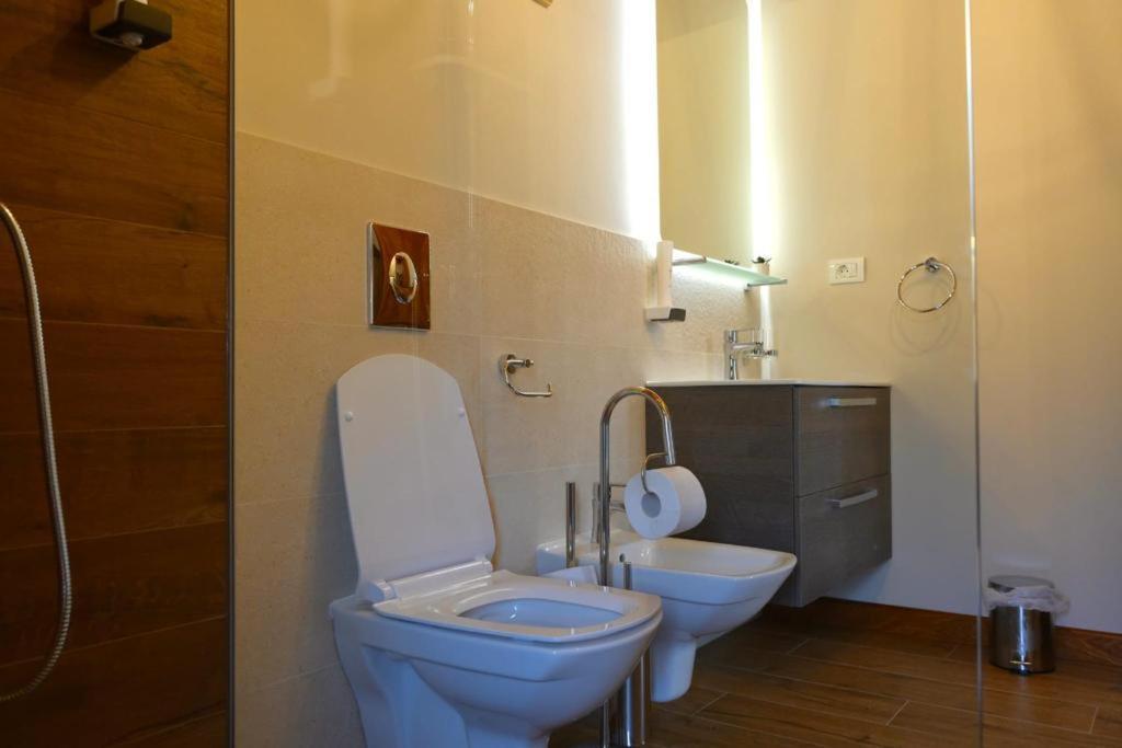 Villa Diva Budureasa